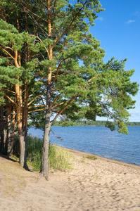 夏日风景与谢利格尔湖