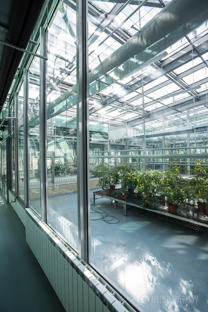 温室系列温室内