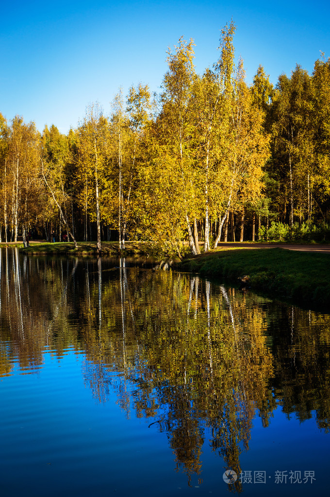 秋天的树木和池塘的水中倒影
