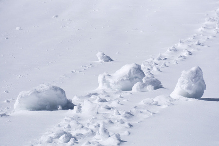 冬天的雪，一丛丛