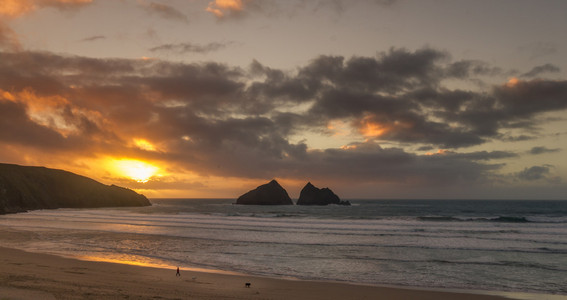 风景夏季落日的天空海鸥和光束在海上落日日落时海边的旅游自行车橙色