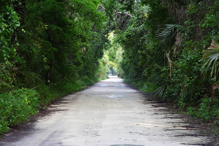 Fakahatchee 钢绞线保护区州立公园