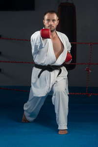 跆拳道战斗机姿势图片