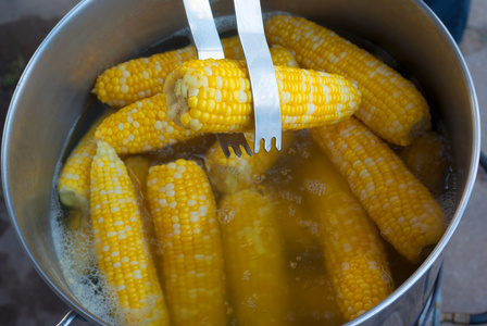 玉米芯烹饪