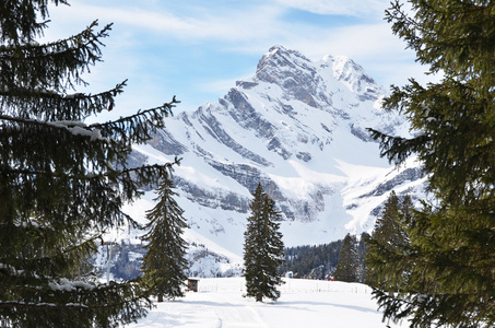 Braunwald，瑞士在冬天