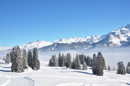 Braunwald，瑞士在冬天