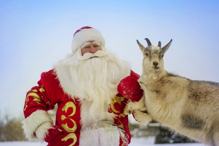 圣诞老人与一只山羊