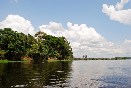 亚马逊雨林 景观沿着亚马逊河岸边附近南美洲的巴西马瑙斯