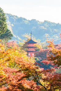 清水寺在秋天的季节