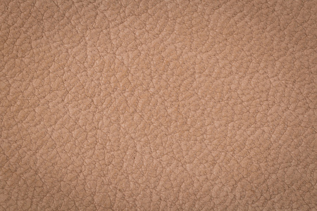 真皮面料图片