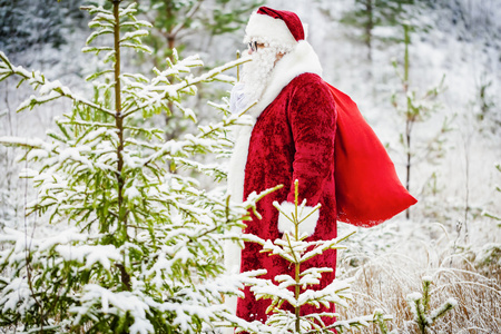 圣诞老人与礼物袋走出森林