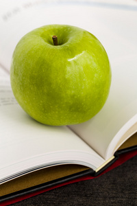 苹果和书中反映出来的教育概念