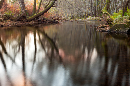 秋季风景与一条河