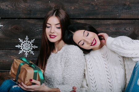 两个漂亮的女孩，在圣诞节的肖像
