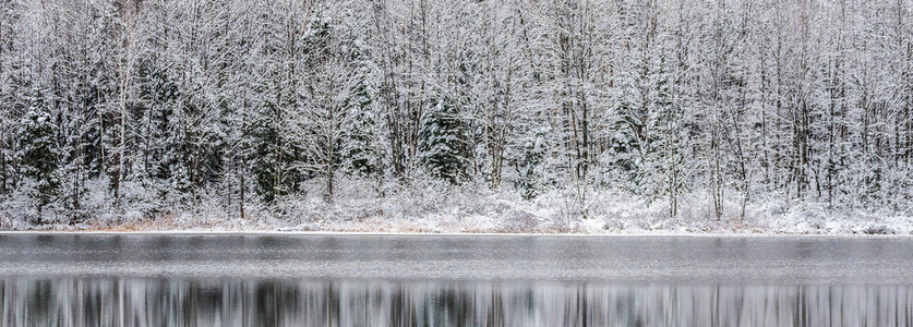 湖面上的冬幻影。白雪在压抑的阴云密布的十一月天空下。滨水森林的思考