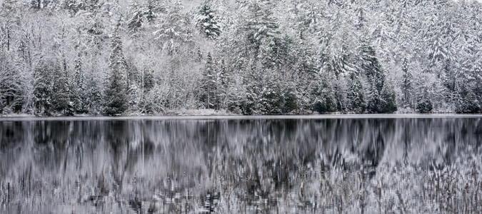 湖面上的冬幻影。白雪在压抑的阴云密布的十一月天空下。滨水森林的思考