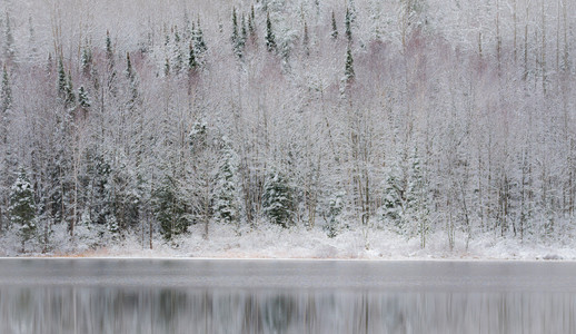 湖面上的冬幻影。白雪在压抑的阴云密布的十一月天空下。滨水森林的思考