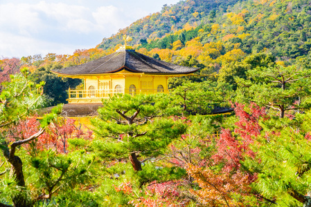 在金阁寺金阁