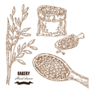 手的素描画的插图燕麦,粮食袋照片