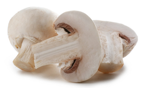 一群香菇蘑菇上孤立的白色背景