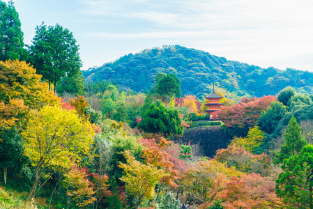 美丽的建筑，在清水寺