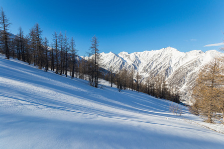 冬季在阿尔卑斯山的雄伟山峰