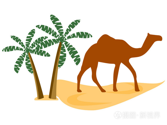 骆驼在沙漠中,棕榈树.矢量图