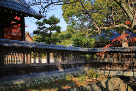 Daikaku吉京都