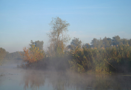 今天上午与雾在河上的景观
