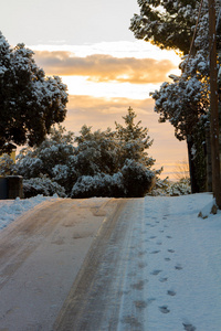 在一个雪村的空旷街道