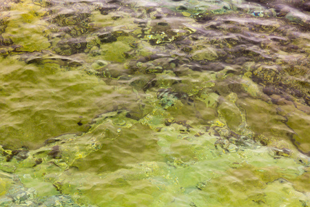 背景与水晶般的水晶水晶水和小波浪和岩石