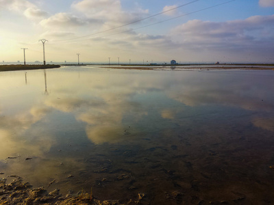 平静的海面旁海滩上的日落