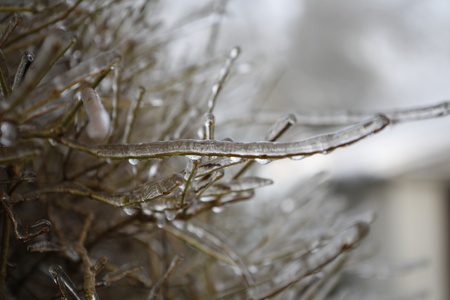 冬季风景与雪