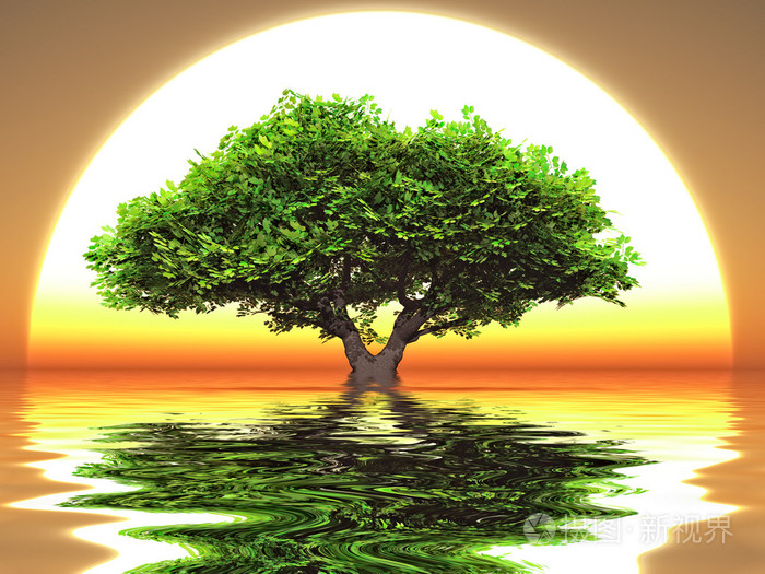 孤立的树和大太阳