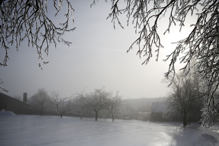 冬季风景与雪