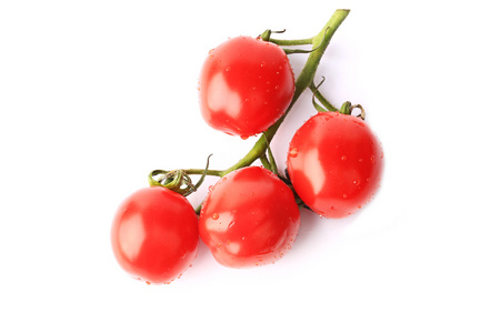 樱桃西红柿上孤立在白色背景上的一个分支