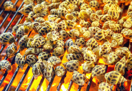 蜗牛烧烤炉烹饪海鲜