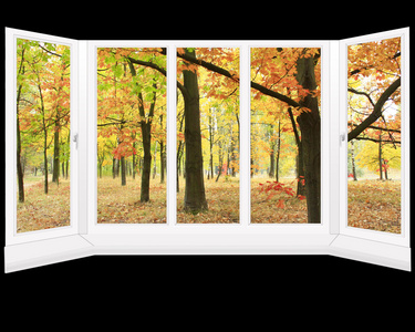 窗户俯视片秋色的公园