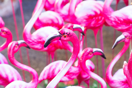 粉红色火烈鸟雕像