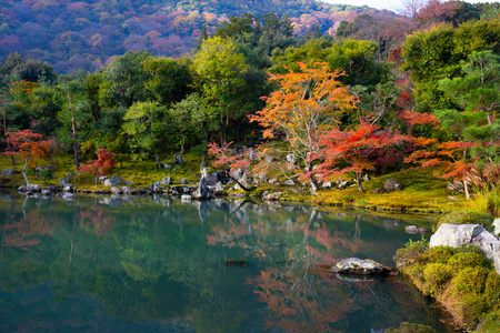 禅意花园的天龙寺