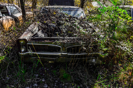 锈迹斑斑, 旧的, 废弃的汽车在树林里
