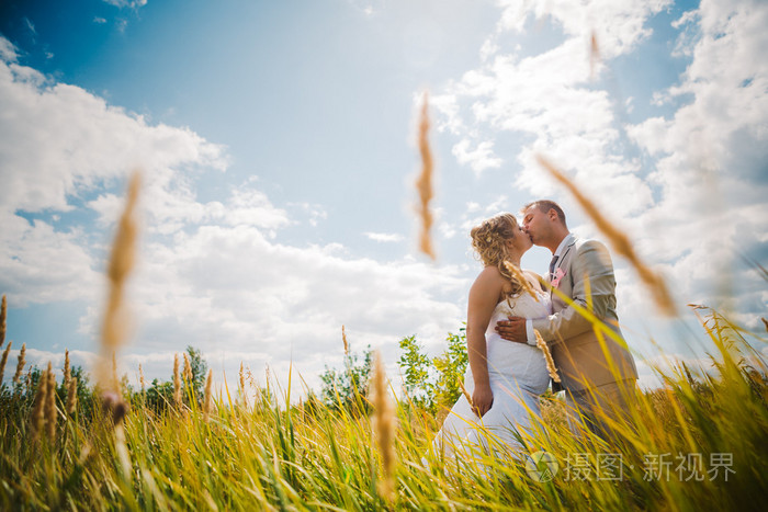 婚礼在草甸的背景上接吻的美丽年轻夫妇