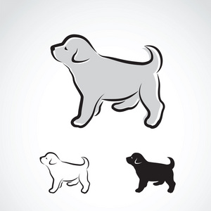 矢量图像的白色背景上的拉布拉多犬