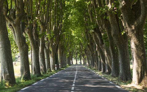 普罗旺斯公路法国