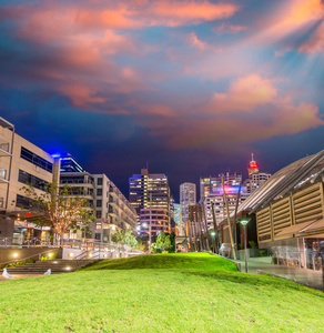 悉尼，澳大利亚。令人惊异的天际线黄昏