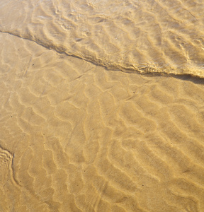 摩洛哥非洲棕色海岸线湿沙滩附近大西洋 o