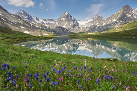 美丽的夏日风景，阿尔泰山俄罗斯