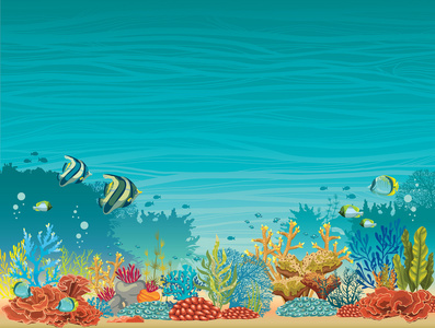 水下海景珊瑚礁和鱼