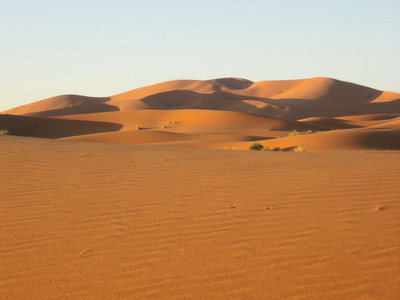 在沙漠里的沙丘