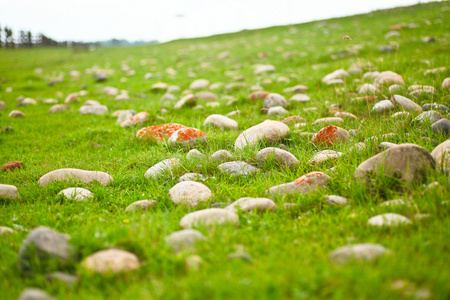 一堆石头在绿色的草地